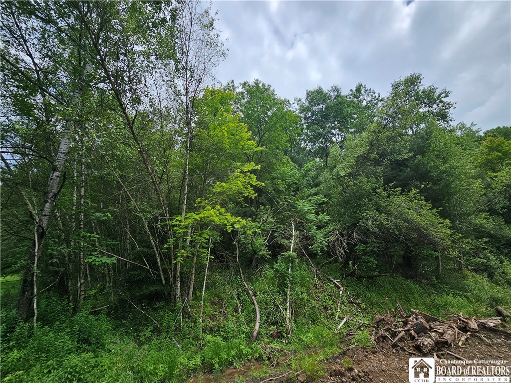 738 4 Mile Road Allegany, NY 14706 - Photo 5 of 18