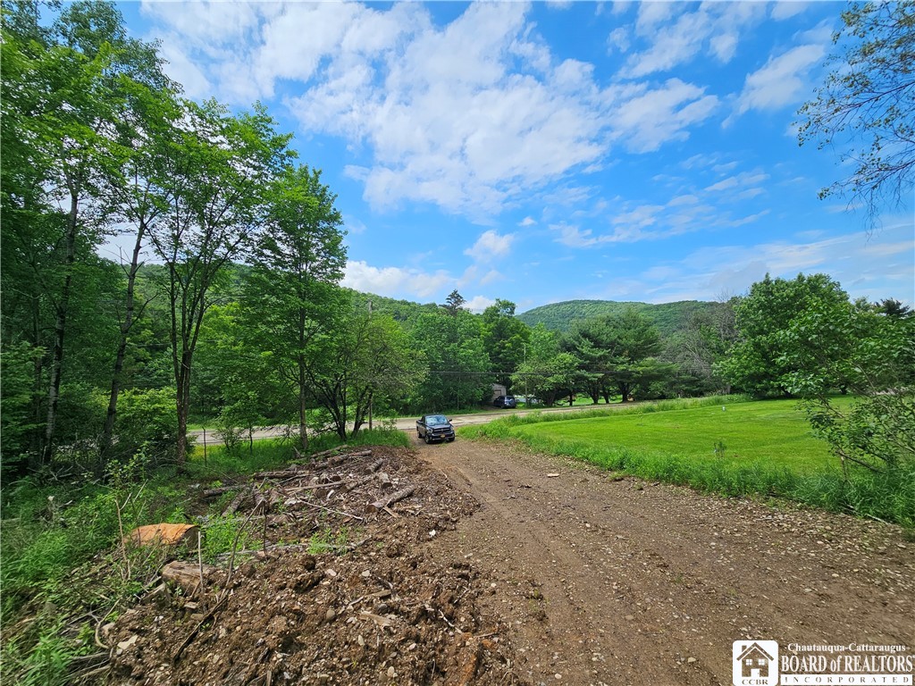 738 4 Mile Road Allegany, NY 14706 - Photo 6 of 18