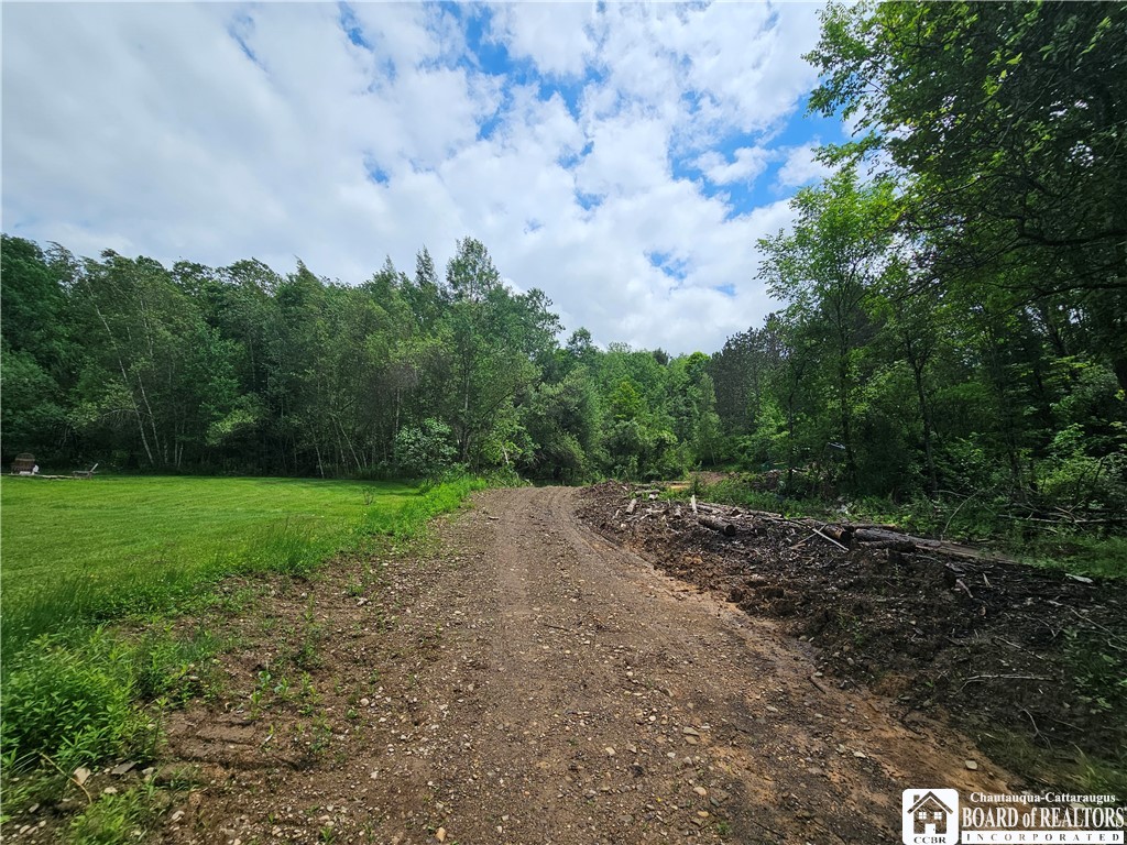 738 4 Mile Road Allegany, NY 14706 - Photo 7 of 18