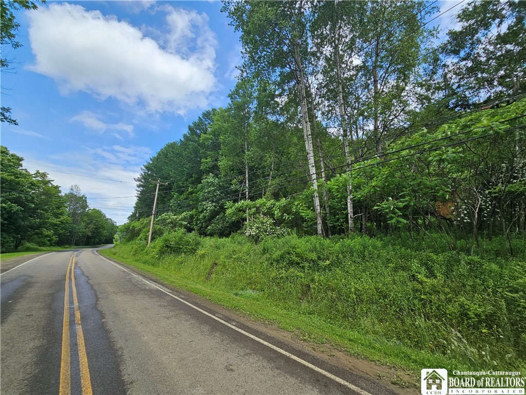 738 4 Mile Road Allegany, NY 14706 - Photo 8 of 18