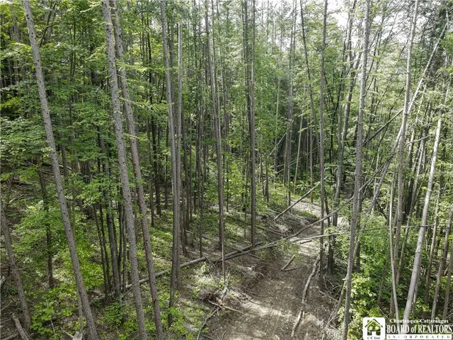 $79,900 | 738 4 Mile Road, Allegany, NY 14706