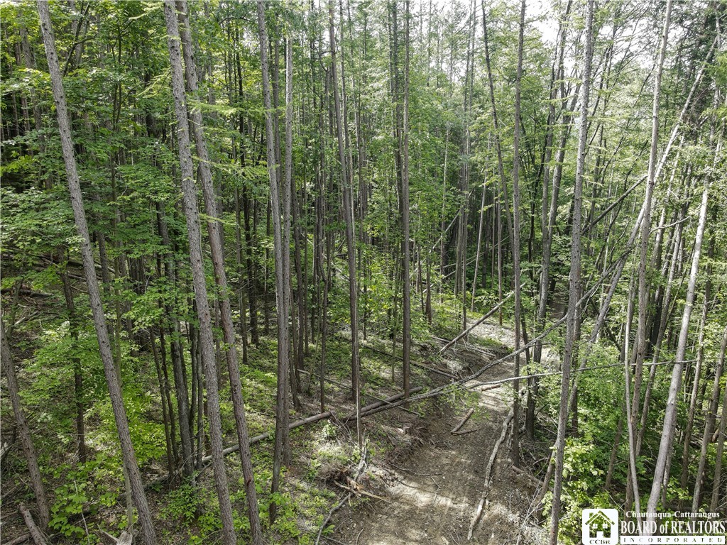 738 4 Mile Road Allegany, NY 14706 - Photo 9 of 18