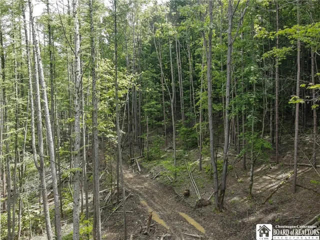 $79,900 | 738 4 Mile Road, Allegany, NY 14706