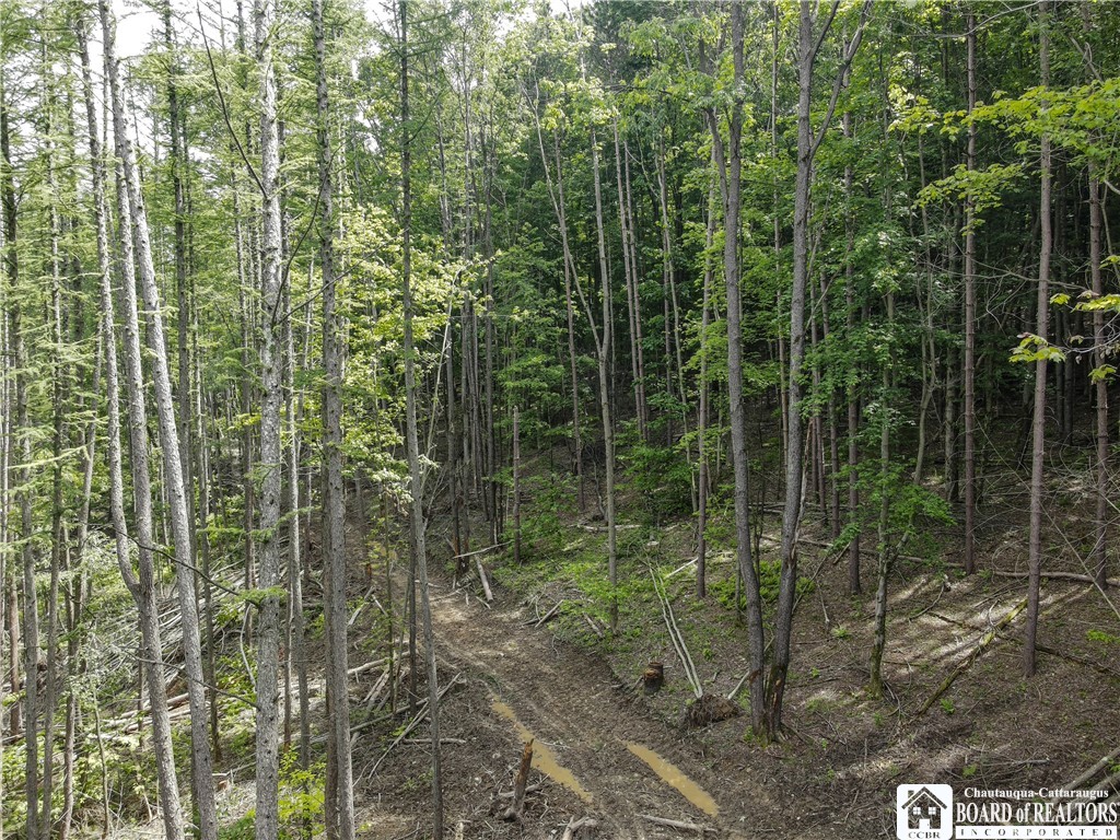 738 4 Mile Road Allegany, NY 14706 - Photo 10 of 18