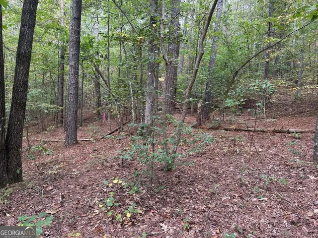 $120,000 | 3826 Salacoa Road, Unit TRACT C, Waleska, GA 30183