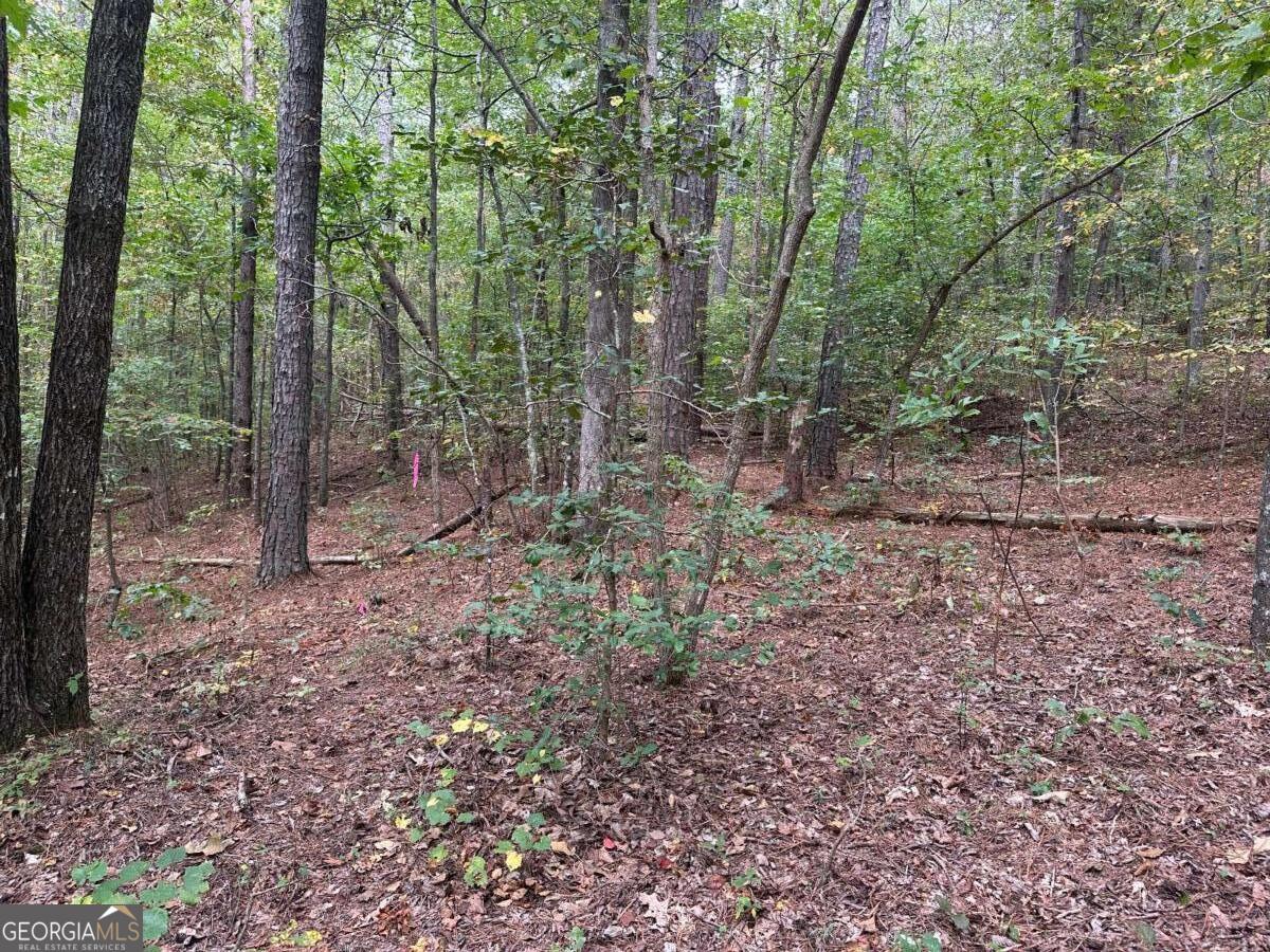 3826 Salacoa Road, Unit TRACT C Waleska, GA 30183 - Photo 6 of 6