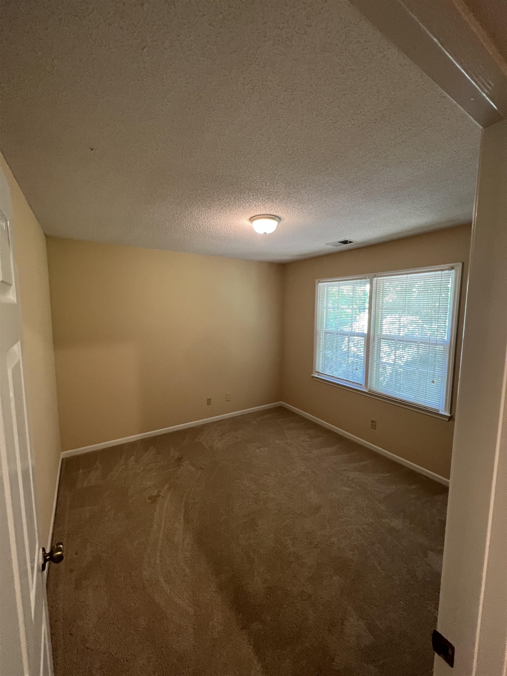 102 Castleford Road Moore, SC 29369 - Photo 13 of 18 Gallery Image 13