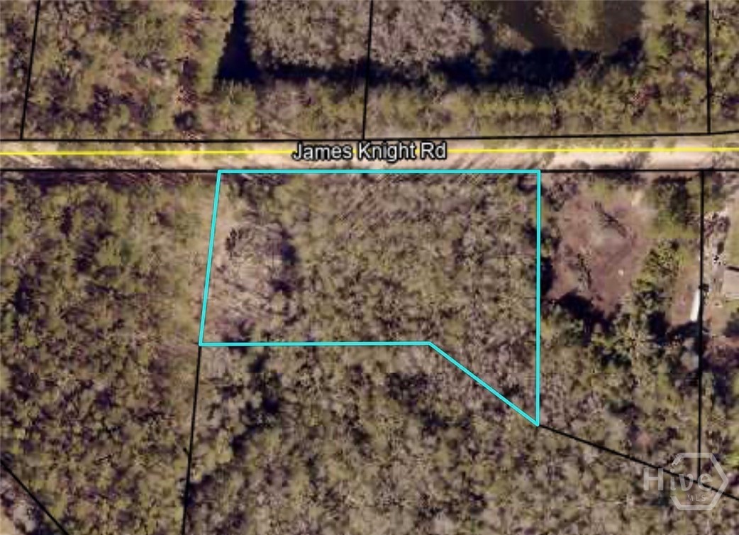 485 James Knight Road Jesup, GA 31545 - Photo 2 of 4 Gallery Image 2