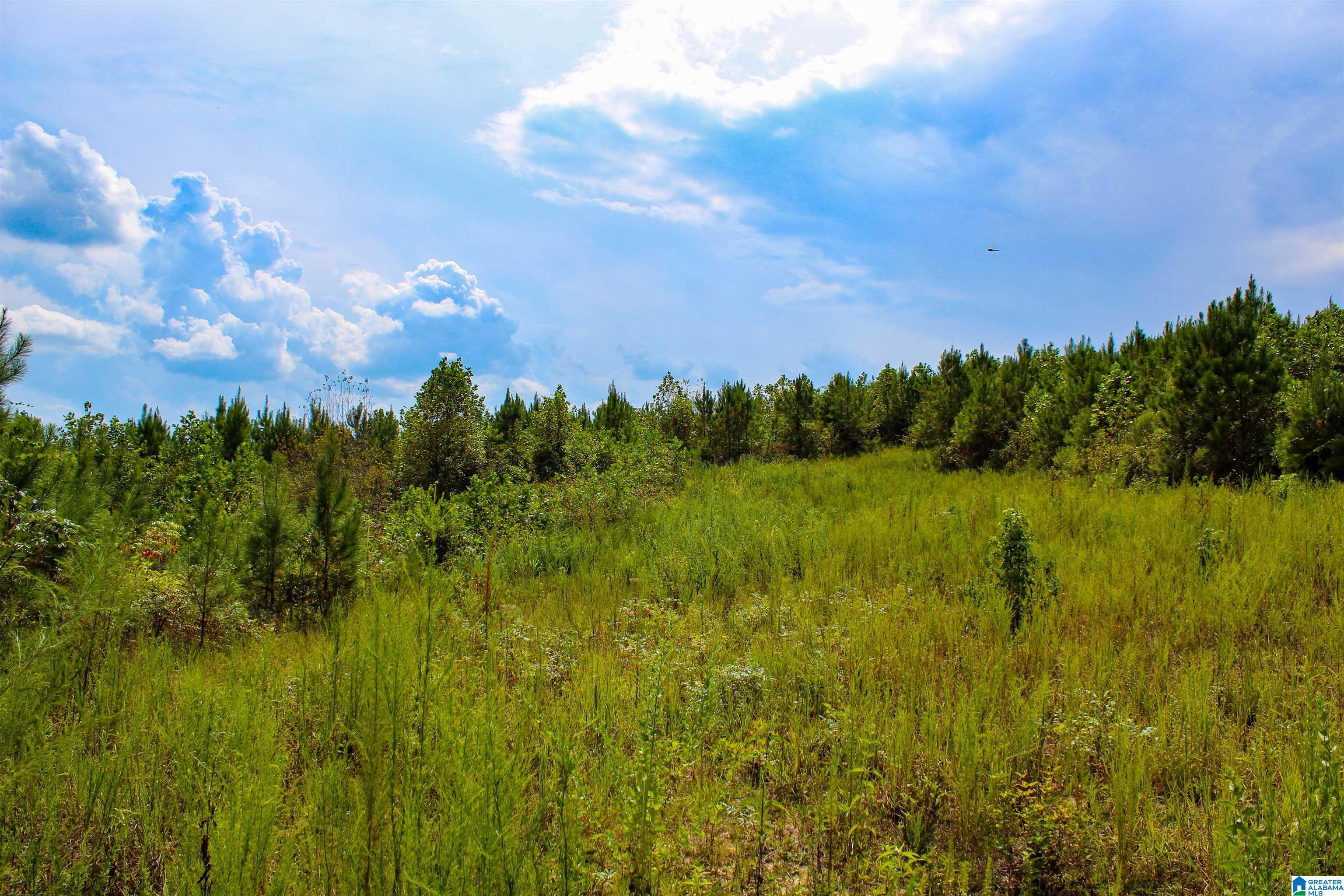1 Highway 13, Unit 1 Berry, AL 35546 - Photo 23 of 52