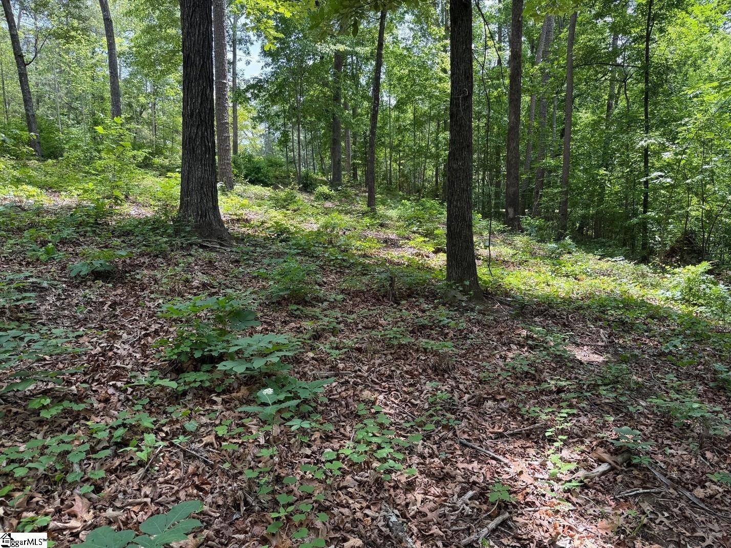 9 Nautica Point Six Mile, SC 29682 - Photo 8 of 19