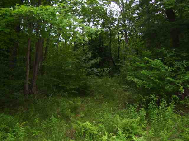 0 County Rt 25 Corinth, NY 12822 - Photo 1 of 2 Photo 1