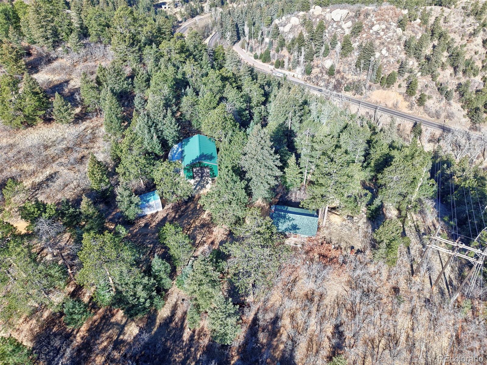 7415 Highway 24 Cascade, CO 80809 - Photo 11 of 45 a view of a forest with a tree