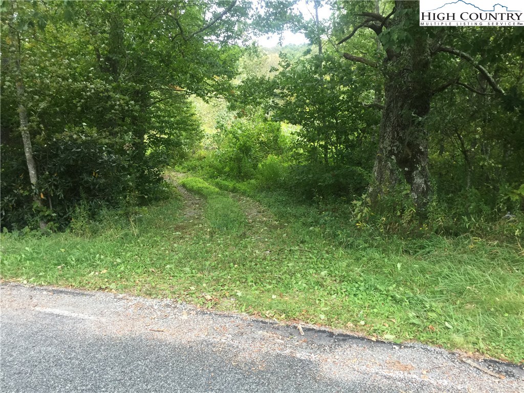 Tdb Curley Maple Road Boone, NC 28607 - Photo 2 of 4