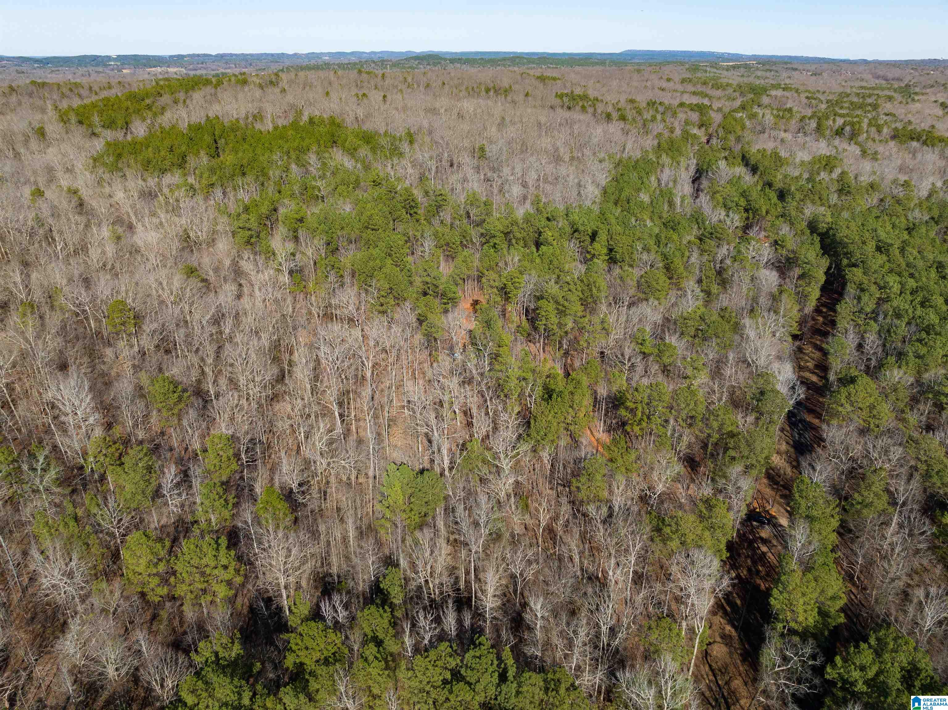 3659 McClendon Chapel Road, Unit 2 Bessemer, AL 35022 - Photo 7 of 44