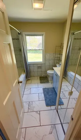 a bathroom with a sink a mirror and a toilet