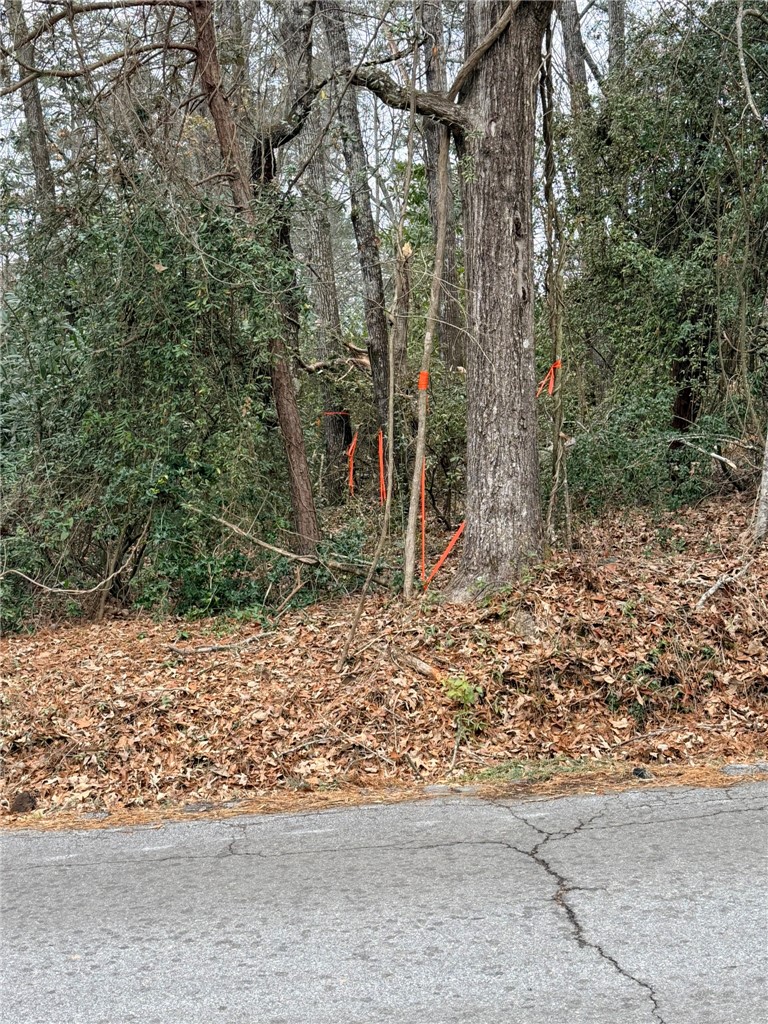 Tbd - Lot B Tbd - Lane Seneca, SC 29678 - Photo 6 of 10