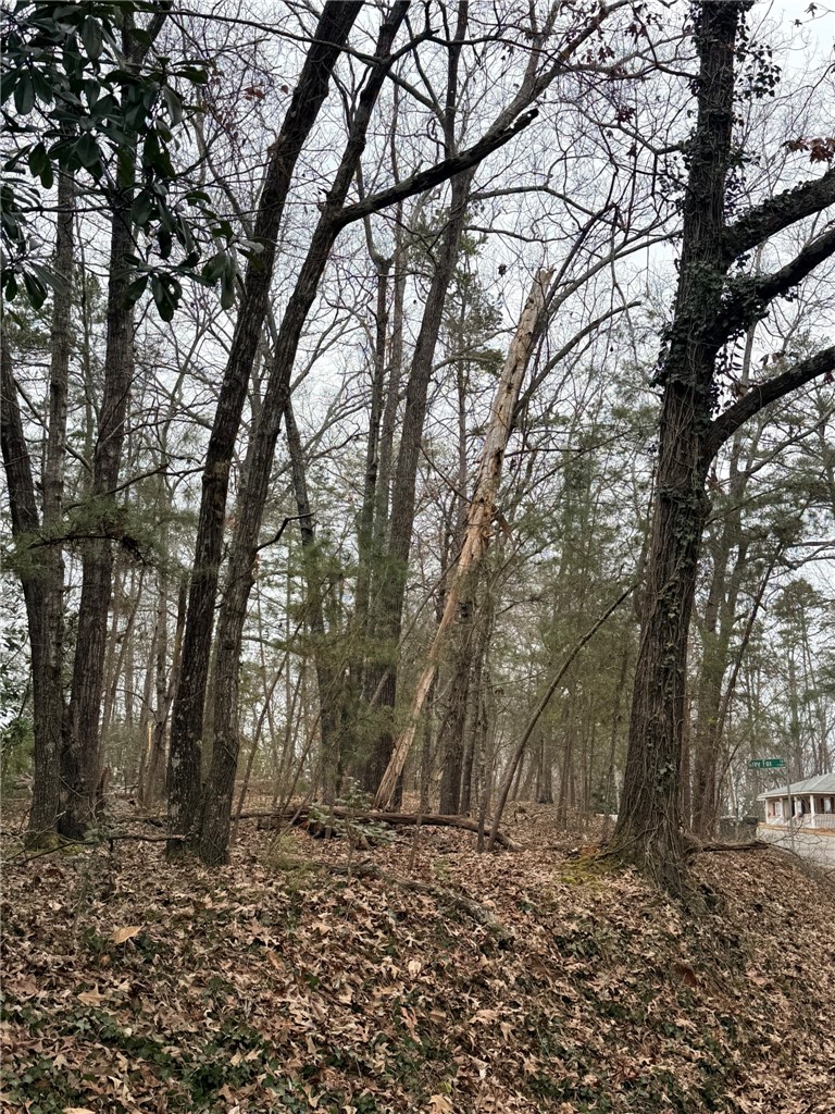 Tbd - Lot B Tbd - Lane Seneca, SC 29678 - Photo 8 of 10