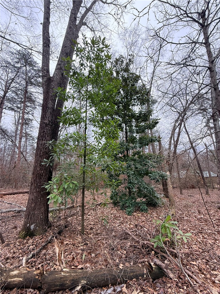 Tbd - Lot B Tbd - Lane Seneca, SC 29678 - Photo 10 of 10