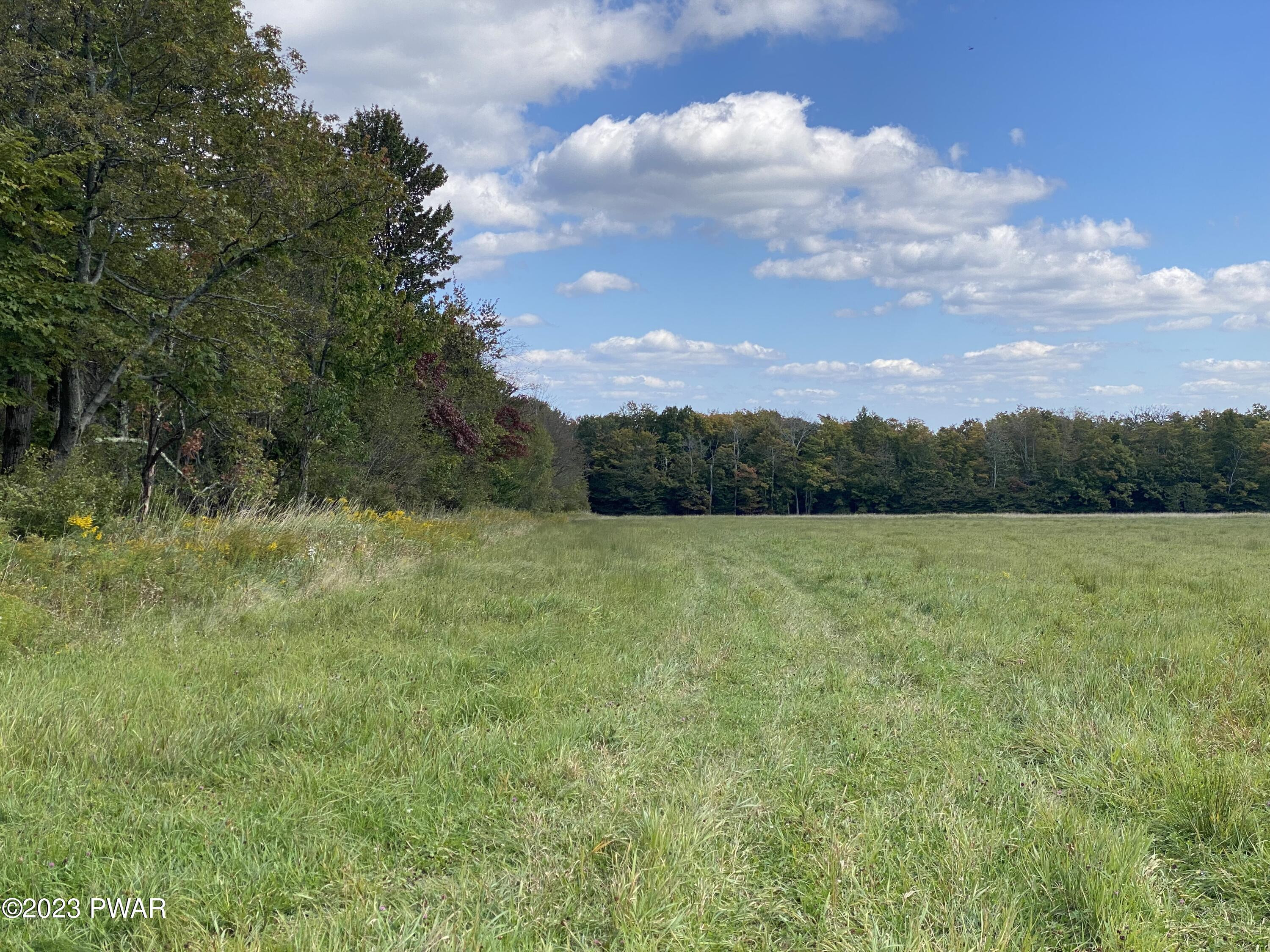 North Road Pleasant Mount, PA 18453 - Photo 5 of 5