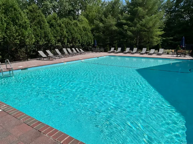 a view of a backyard with plants and a patio