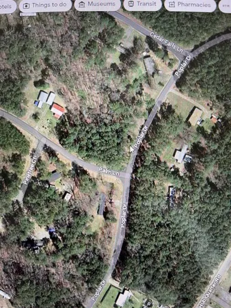 a view of a yard with a tree