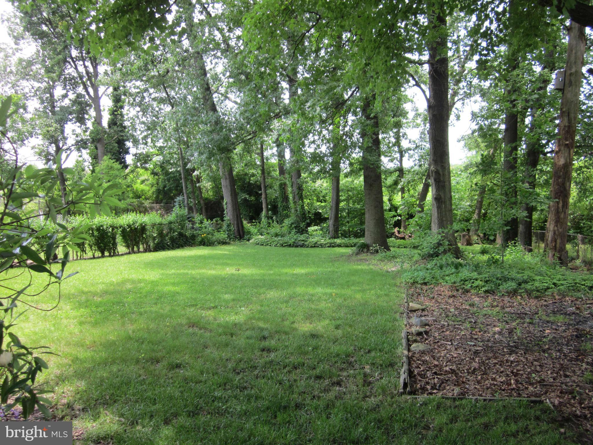 8002 Hillendale Road Baltimore, MD 21234 - Photo 19 of 21 Back Yard