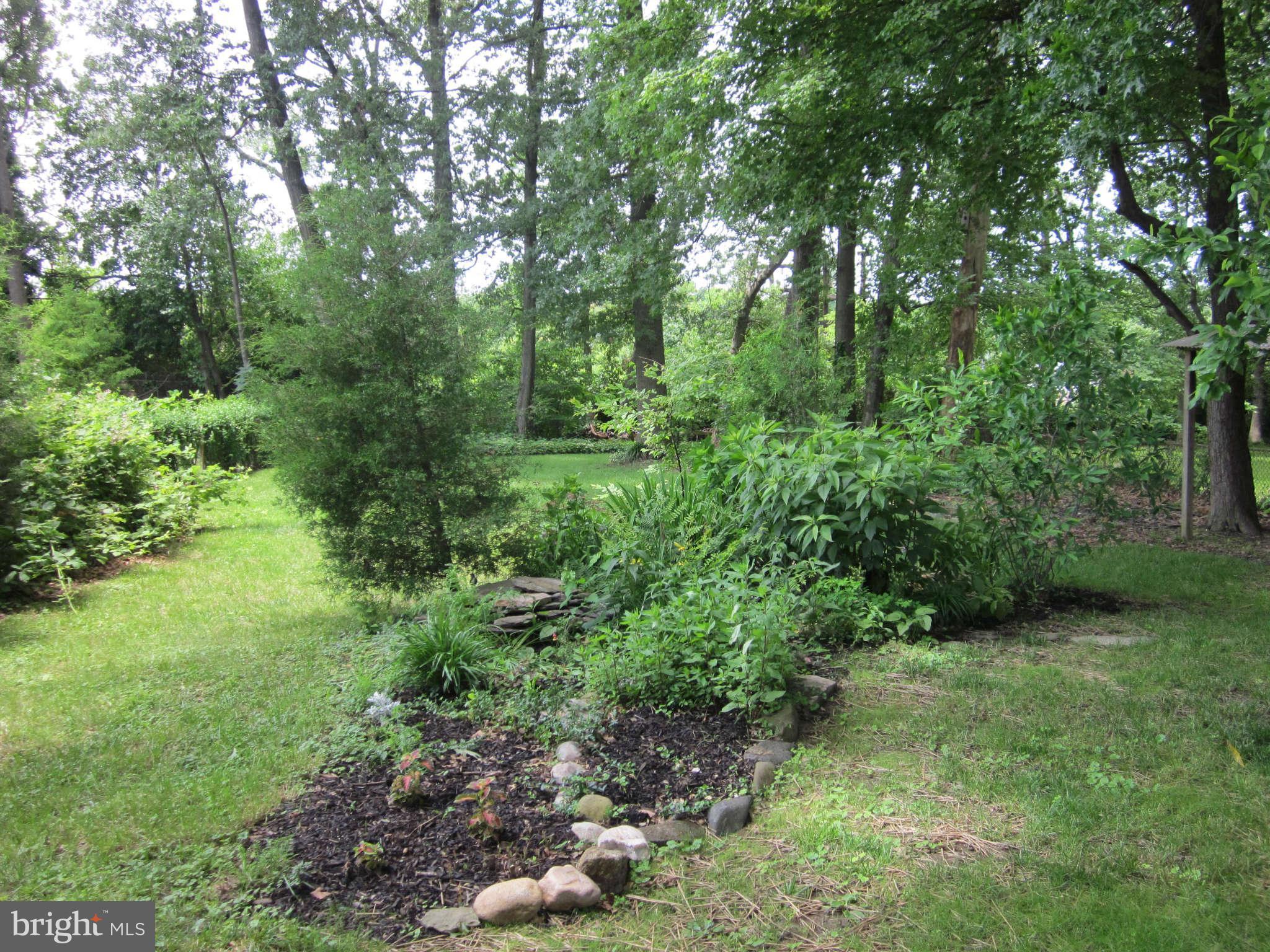 8002 Hillendale Road Baltimore, MD 21234 - Photo 20 of 21 Back Yard