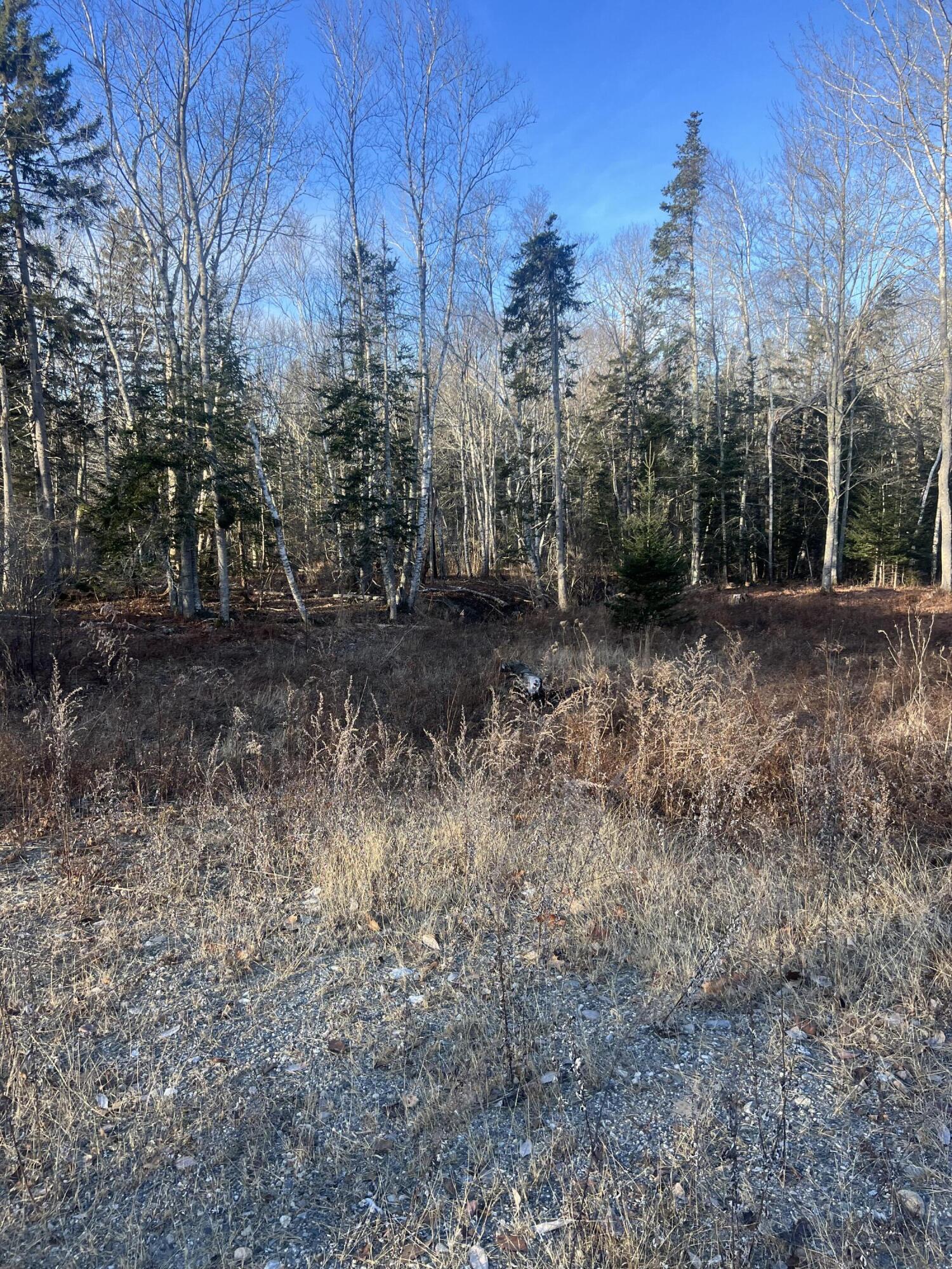 52 Ledge Road South Thomaston, ME 04858 - Photo 14 of 16 IMG_2102