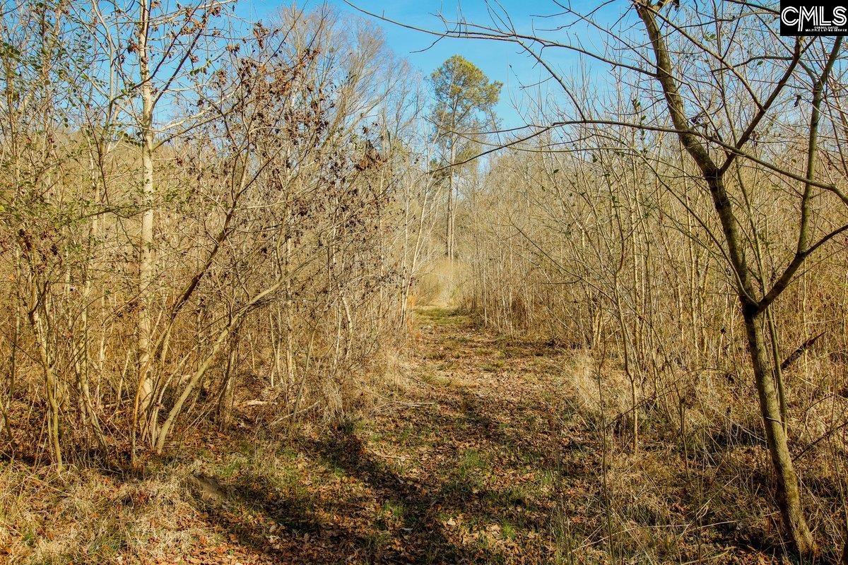 561 Church Road Batesburg, SC 29006 - Photo 20 of 24
