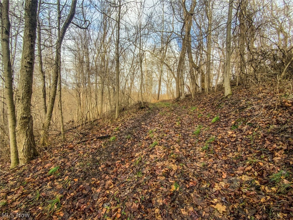 0 New Cut Road Shadyside, OH 43947 - Photo 11 of 31 Gallery Image 11