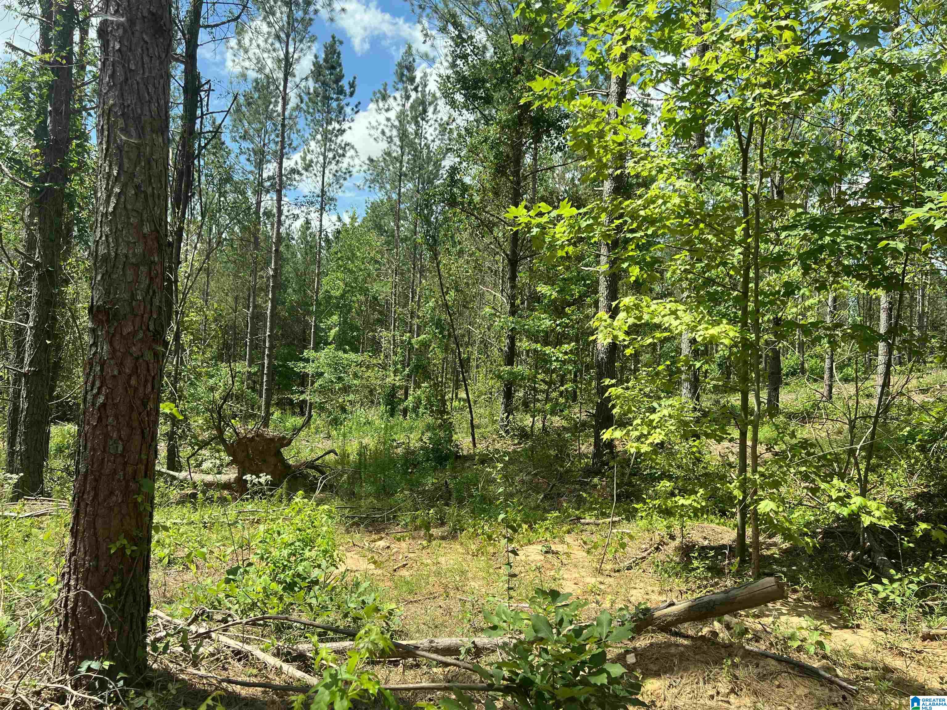 0 County Road 689, Unit 1 Ranburne, AL 36273 - Photo 17 of 69