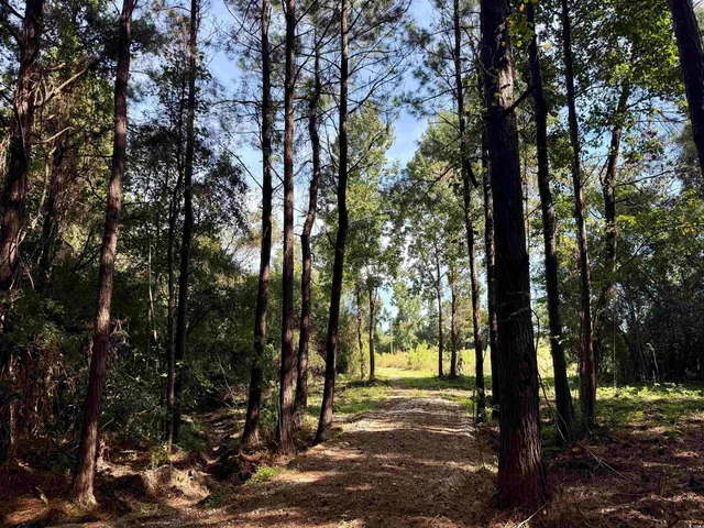 $145,000 | 14.81-acres-tbd South Deerfield Road, Johnsonville, SC 29555