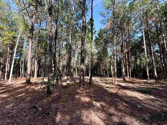 $145,000 | 14.81-acres-tbd South Deerfield Road, Johnsonville, SC 29555