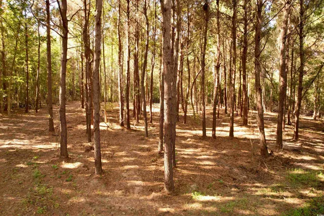 $145,000 | 14.81-acres-tbd South Deerfield Road, Johnsonville, SC 29555