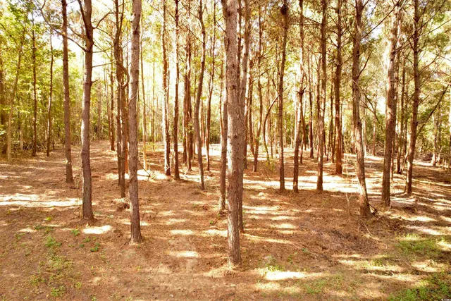 $145,000 | 14.81-acres-tbd South Deerfield Road, Johnsonville, SC 29555