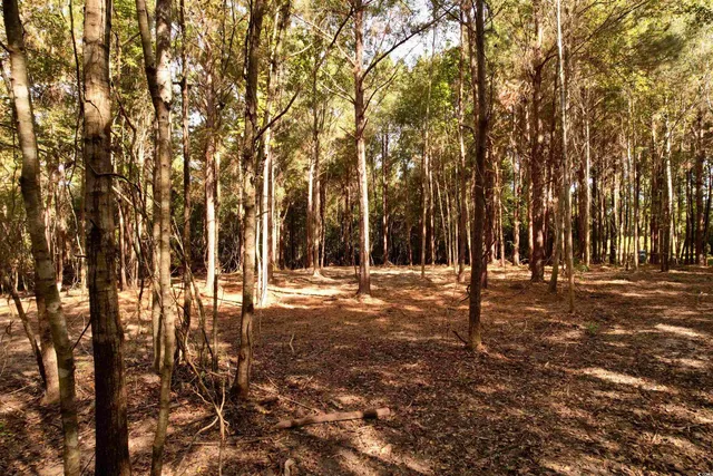 $145,000 | 14.81-acres-tbd South Deerfield Road, Johnsonville, SC 29555