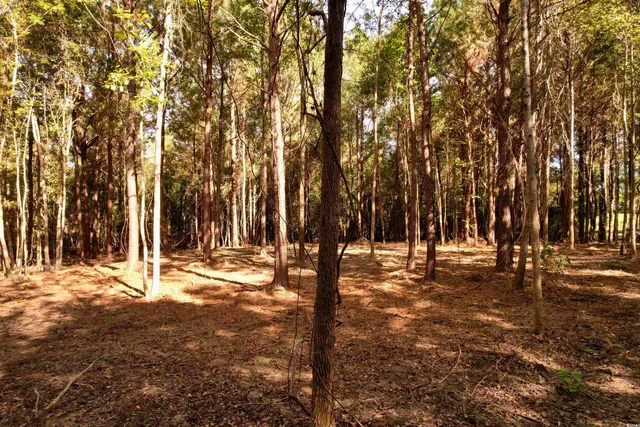 $145,000 | 14.81-acres-tbd South Deerfield Road, Johnsonville, SC 29555