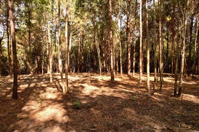 $145,000 | 14.81-acres-tbd South Deerfield Road, Johnsonville, SC 29555