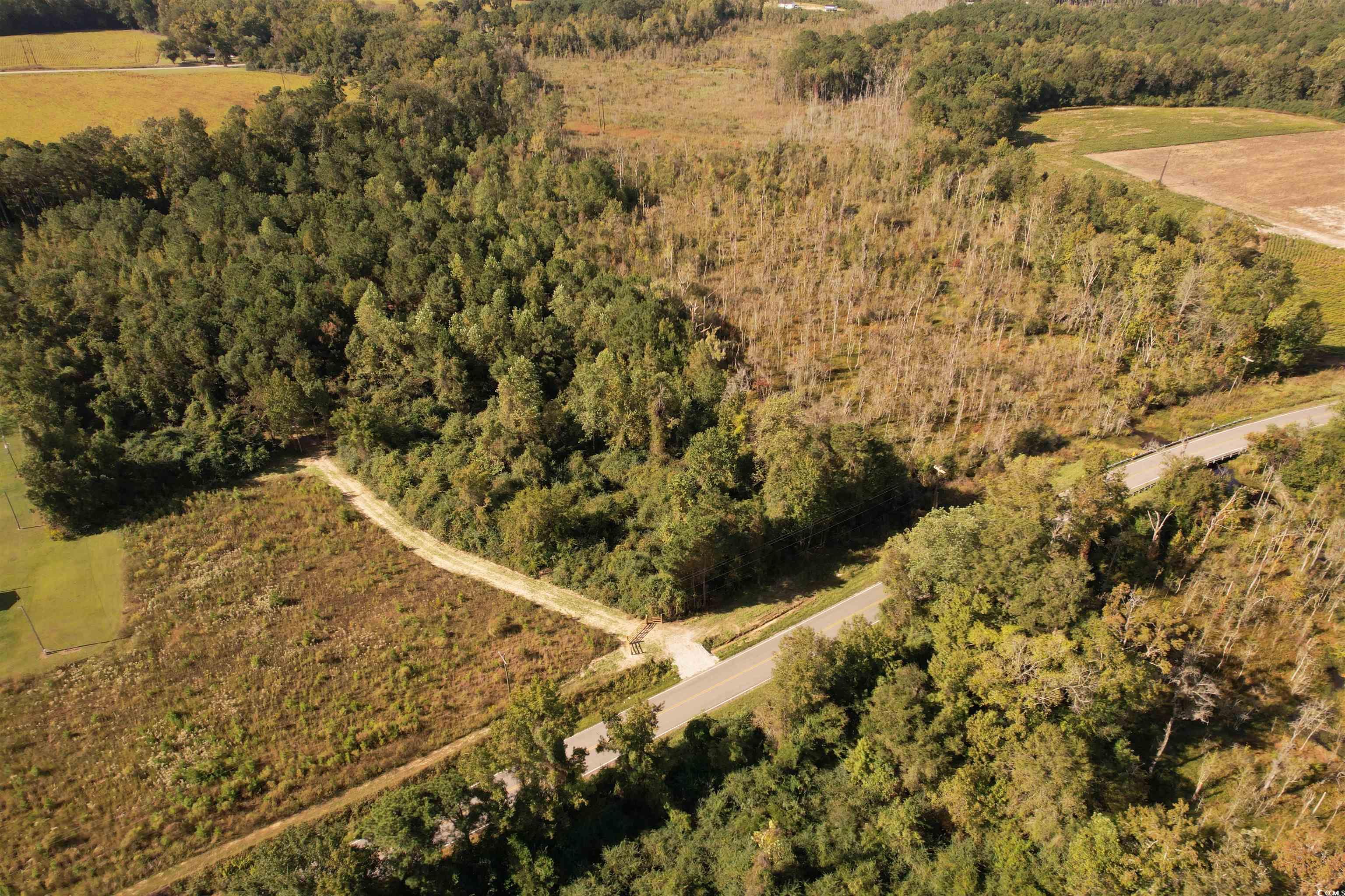 14.81-acres-tbd South Deerfield Road Johnsonville, SC 29555 - Photo 8 of 14