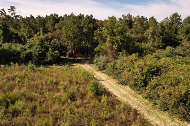 $145,000 | 14.81-acres-tbd South Deerfield Road, Johnsonville, SC 29555