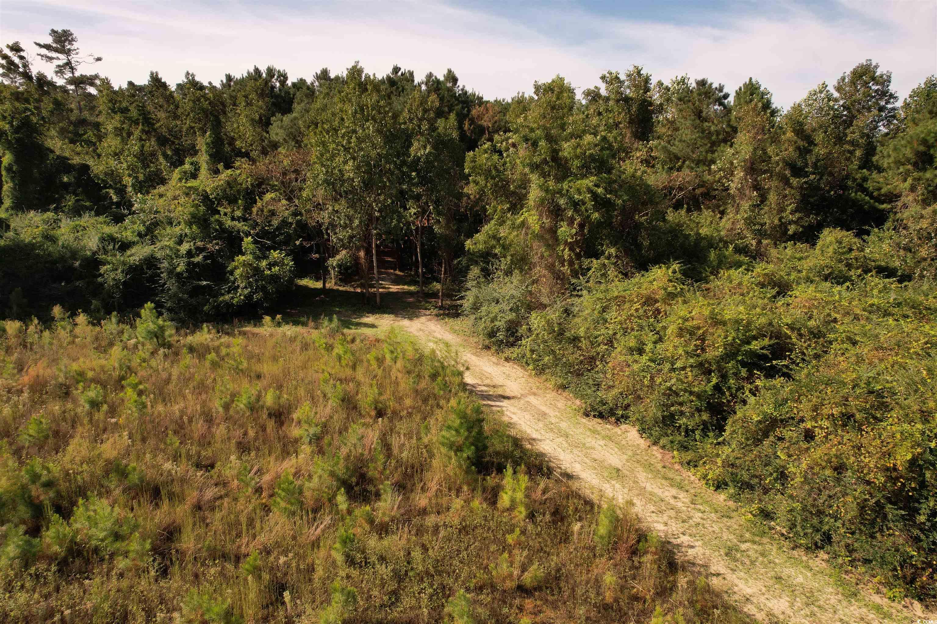 14.81-acres-tbd South Deerfield Road Johnsonville, SC 29555 - Photo 9 of 14