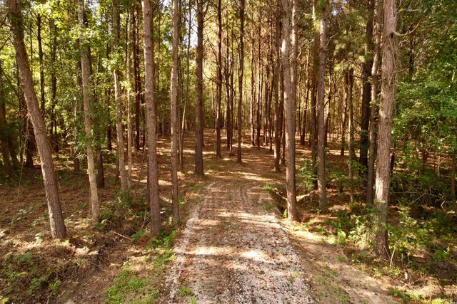 $145,000 | 14.81-acres-tbd South Deerfield Road, Johnsonville, SC 29555