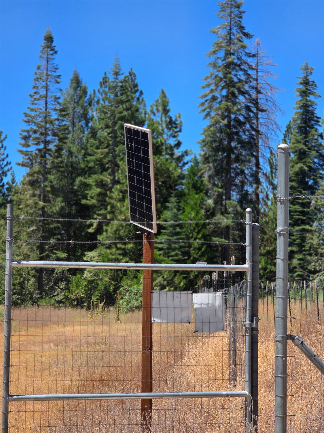 23133 Back Bone Road Nevada City, CA 95959 - Photo 29 of 33 Gallery Image 29