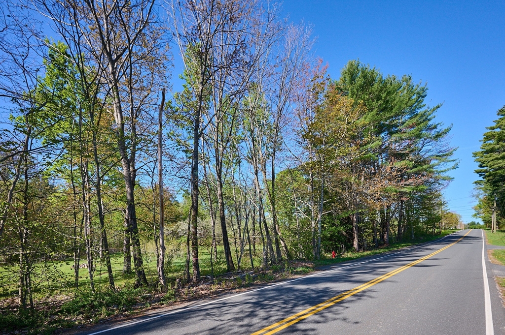 0 Radiker Road Worthington, MA 01098 - Photo 12 of 18 a view of a backyard