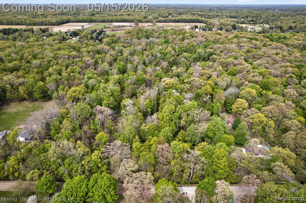 22530 Bohn Road Belleville, MI 48111 - Photo 23 of 28