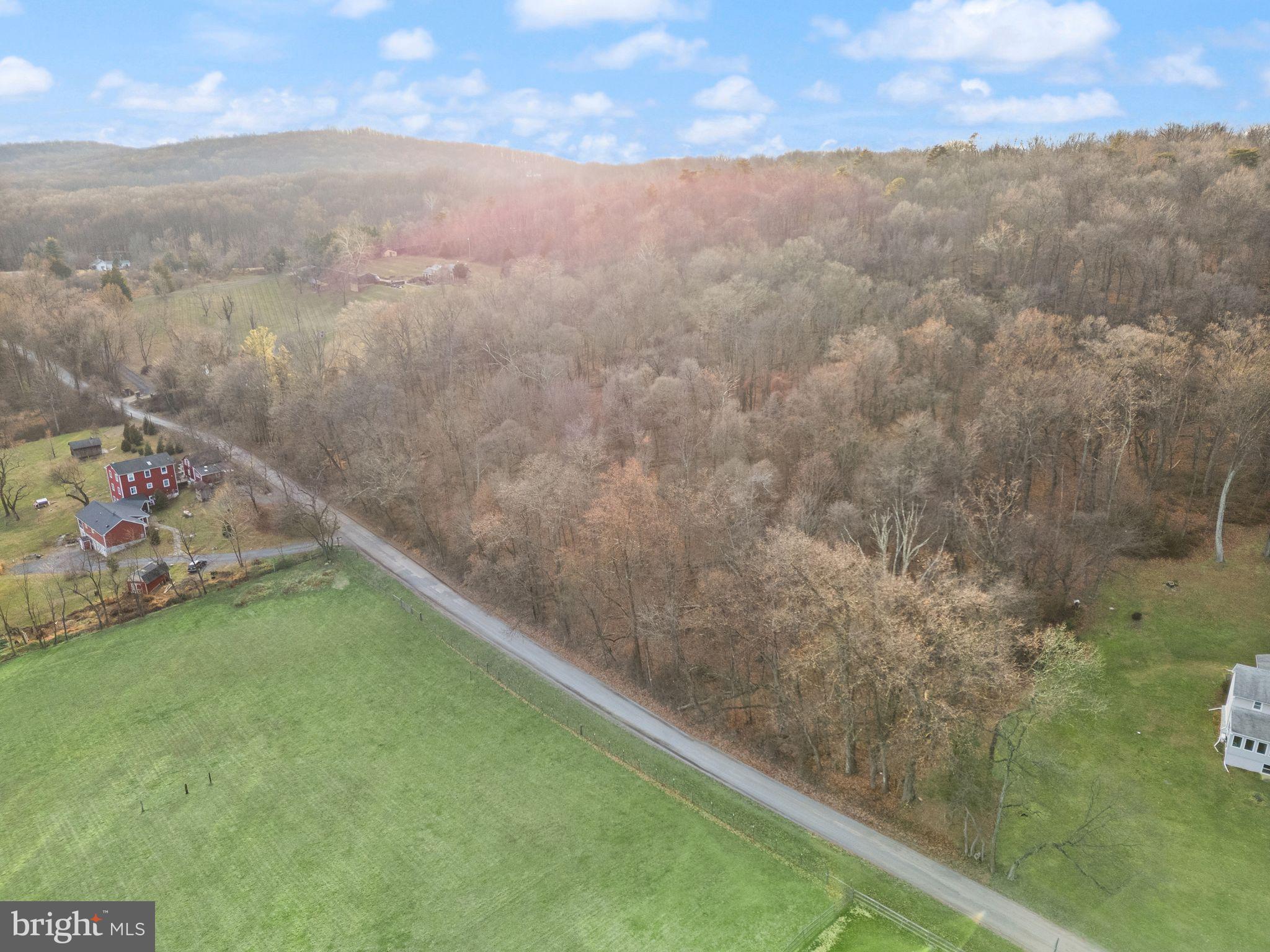 Parcel C - Taylorstown Road Leesburg, VA 20176 - Photo 4 of 16