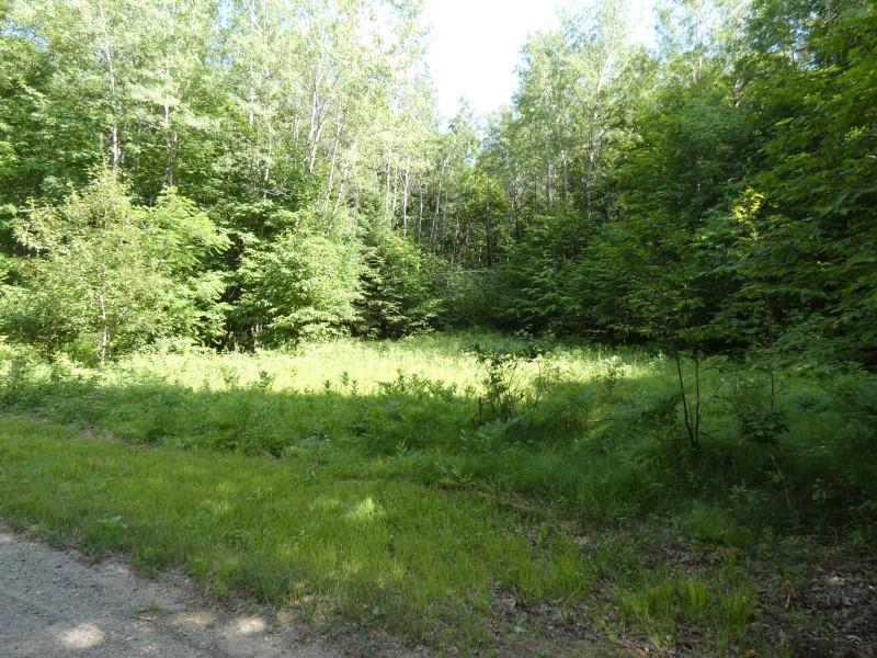 Lot 49 Camp 6 Loop Road Laona, WI 54541 - Photo 1 of 7 Gallery Image 1