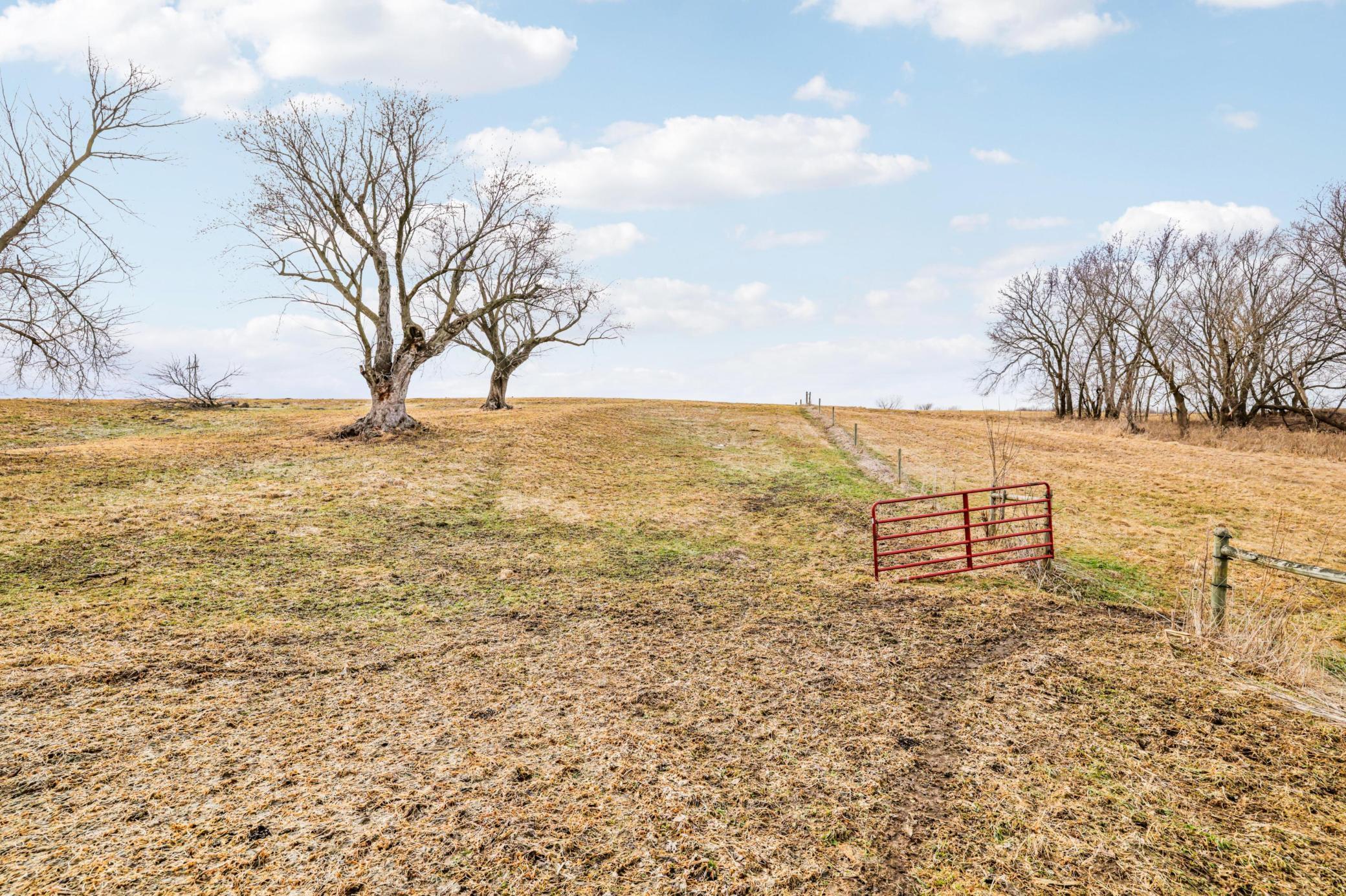 28983 320th Ave Way Red Wing, MN 55066 - Photo 119 of 136