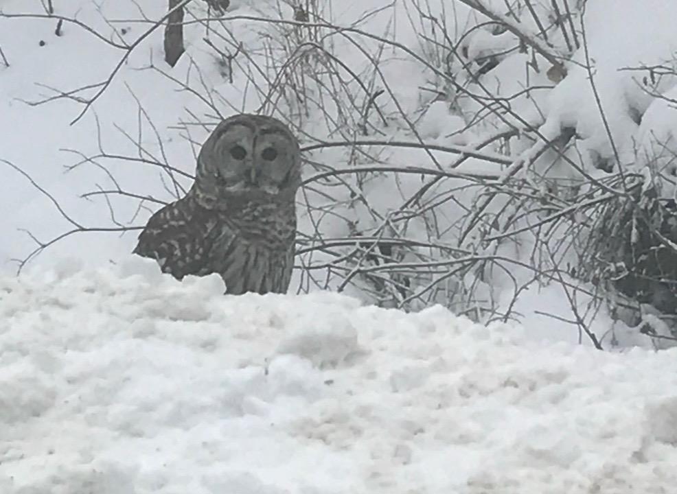 28983 320th Ave Way Red Wing, MN 55066 - Photo 131 of 136