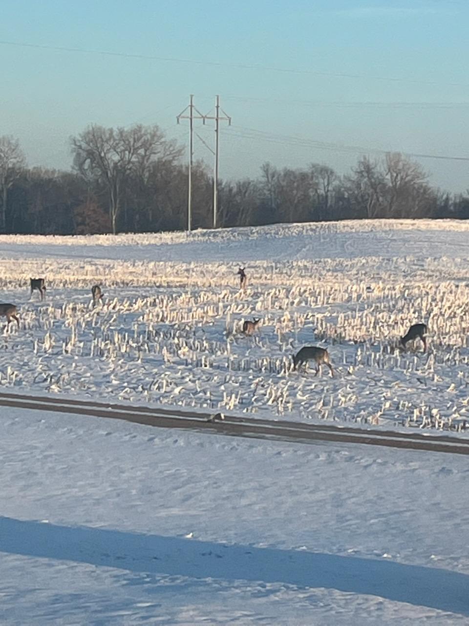 28983 320th Ave Way Red Wing, MN 55066 - Photo 132 of 136